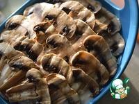 ��������� �� ����������� �����������