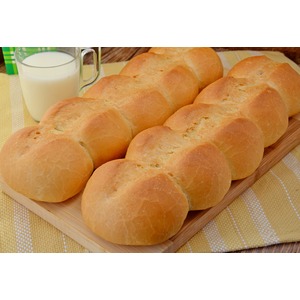 ������ ���������