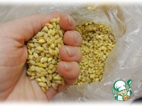 ��������� ��� "�����" �����������