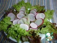 ������� ����� � �������� �����������