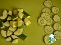 ���������-��������� ���� � �������� ������ �����������