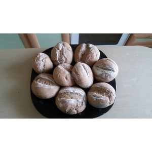 ������ �������