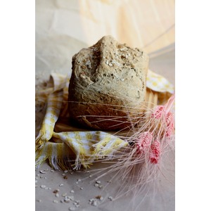 ���� � �������� � ��������