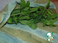 �����-�������� ����� �����������