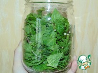 �����-�������� ����� �����������