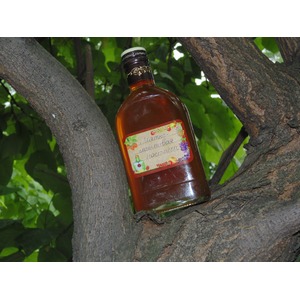 �����-�������� �����