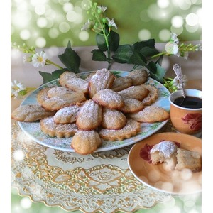 �������� ������ "���������"