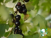 ������� � ������ ���������� �����������