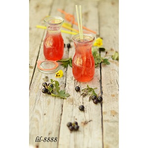 ������� � ������ ����������