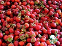 ����������� ������ �����������