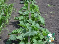 �������, ������������� �����, ������� � ����� �����������