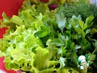 �������, ������������� �����, ������� � ����� �����������