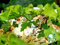 �������, ������������� �����, ������� � ����� �����������