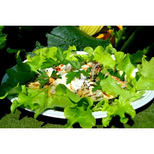 �������, ������������� �����, ������� � �����