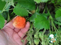 ���������� ����� �����������