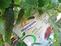 ��������� ����� � ����� � ����� �����������