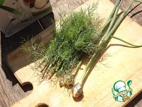 ��������� ����� � ����� � ����� �����������