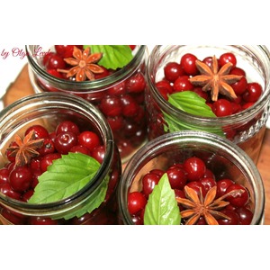 ���������������� ����� � ������ ������