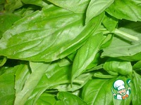 ������������ ����� �� �������� �� ���� �����������