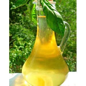 ������������ ����� �� �������� �� ����