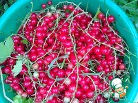 ������ � ������� ���������� �����������