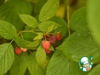 ��������� ����� � �������� � ������� �����������