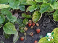 ��������� ����� � �������� � ������� �����������