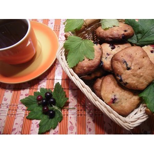 ������� � ������ ����������