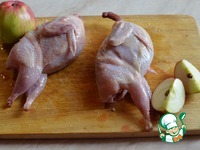 ���� � ����������� "�������� ����" �����������