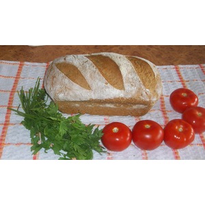 ���� ����� "������"