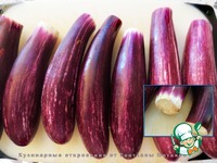 ������������ ��������� �����������