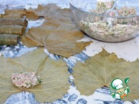 ����� �����������