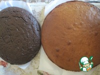 ���� "�����-������" �����������