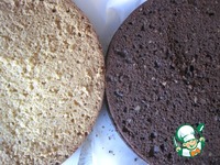 ���� "�����-������" �����������