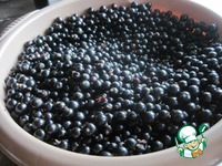 ���� "�����-������" �����������