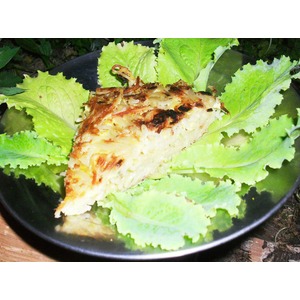 ������ �����