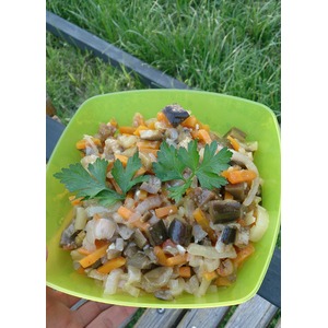 ����� "���������"