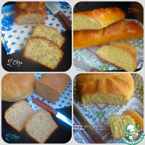 ���� ����� ������ ��� �� �������� ������� (82)