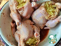 �������-��������� � �����������-���������� ���� �����������