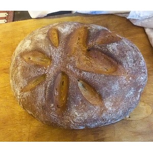 ������ ���� �� �������� ���������