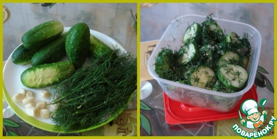 ������� �����