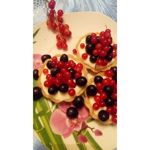 �������� ���������� "������� � ׸����"