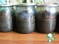 �������� � ����� �����������