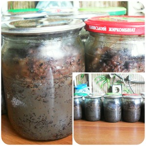 �������� � �����