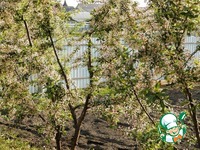 ����� "������ �����������" �����������