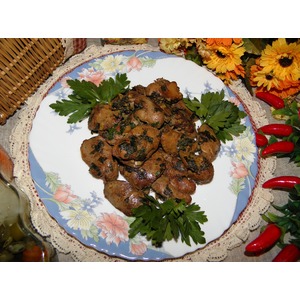 ������� ������ "��������� ����������"