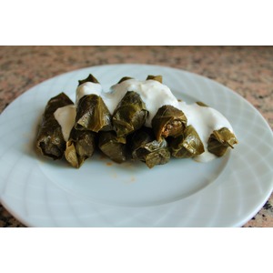 ������������� �������� �������