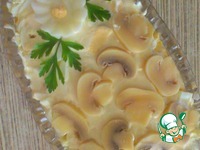 ����� � �������� � ������������ �����������