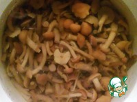 ������� � ������� "��������� � ��������" �����������