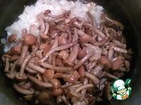 ������� � ������� "��������� � ��������" �����������